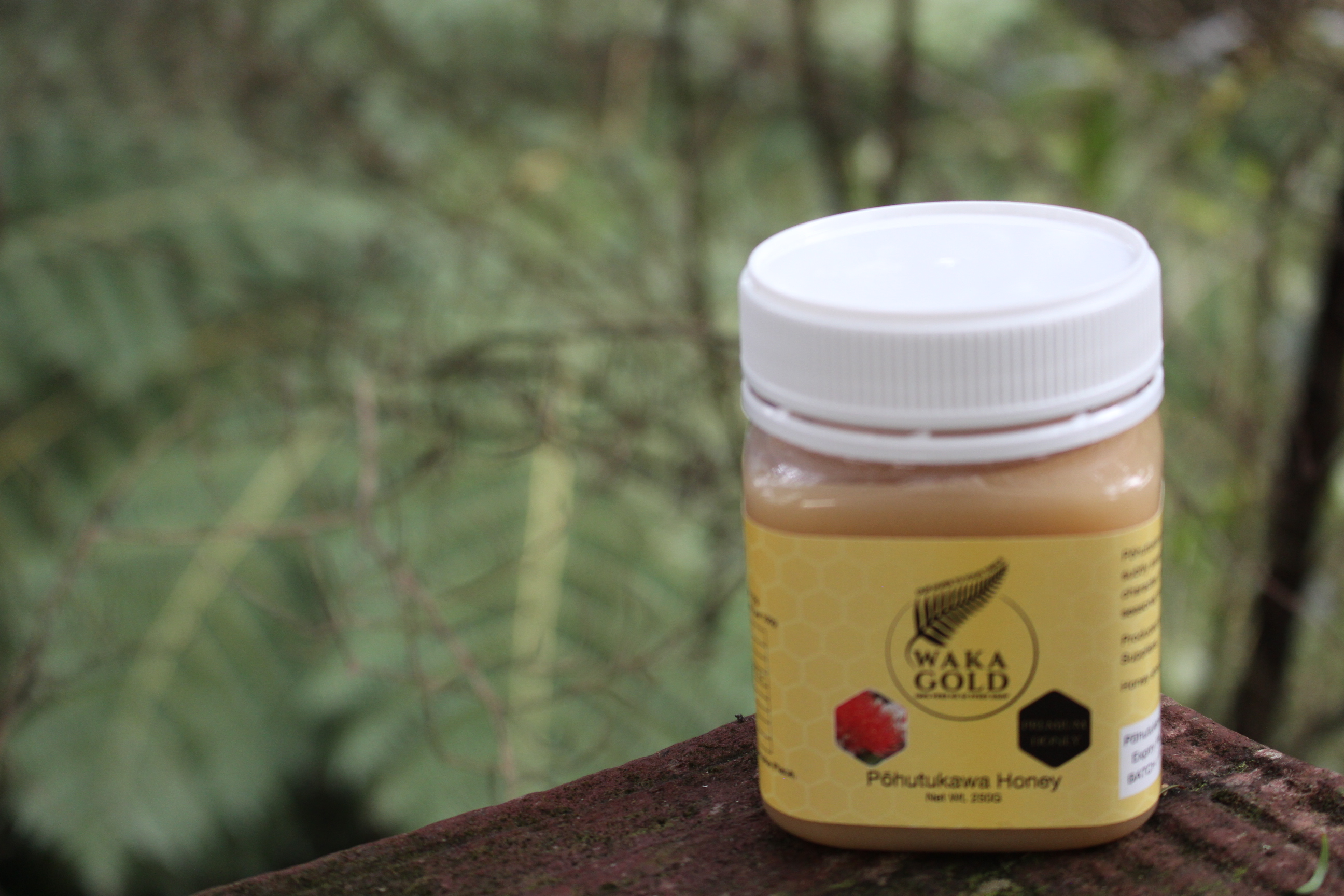 Pohutukawa Honey ( also known as Christmas tree honey )